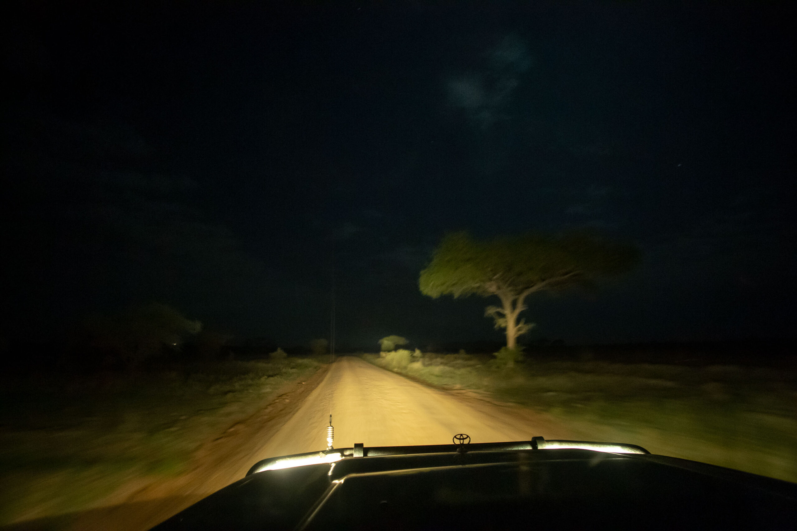 night drive
