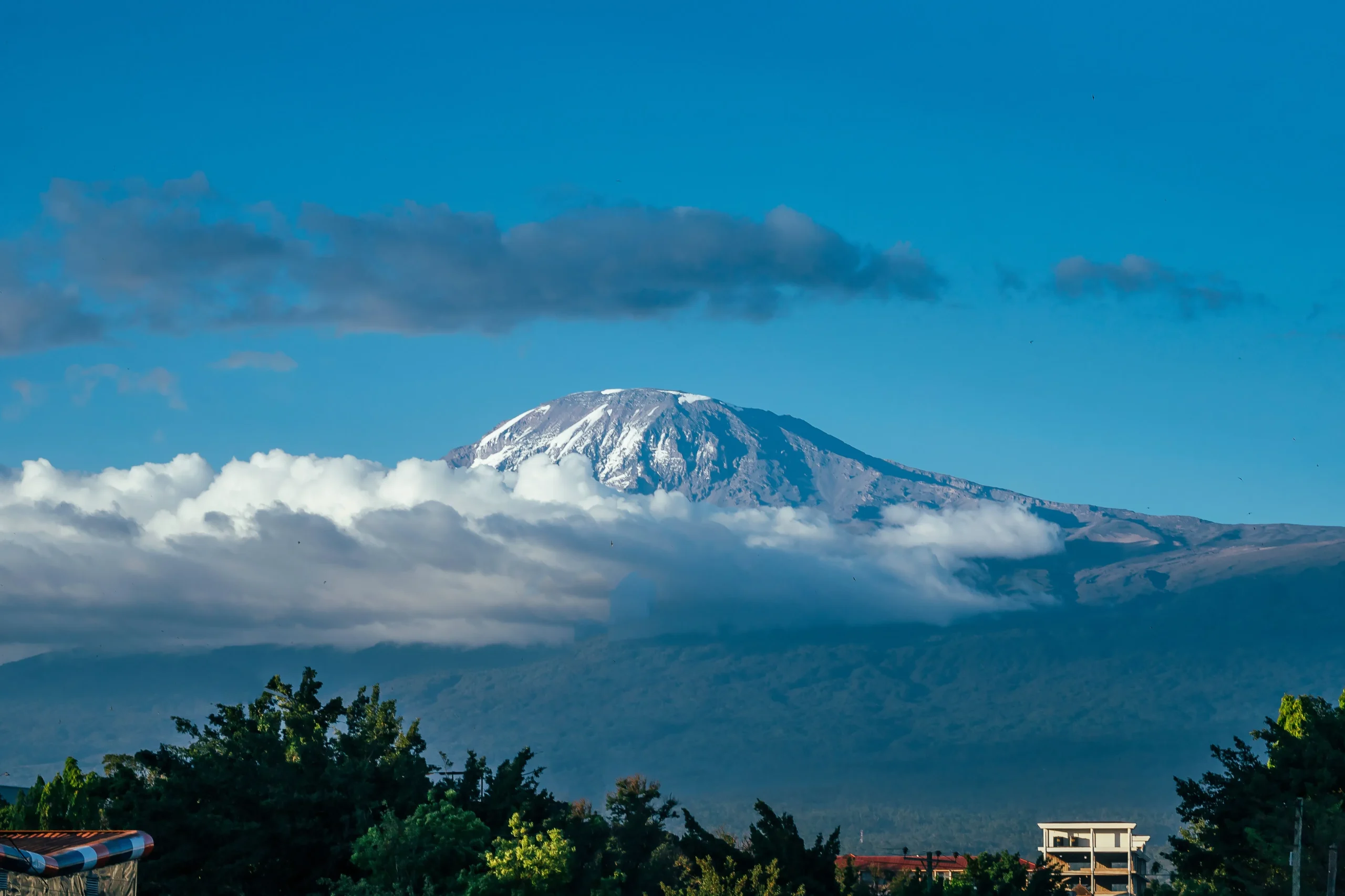 landscape of snowy mount kilimanjaro on the horizo 2026 03 18 06 32 49 utc result